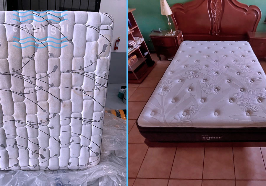 Limpieza de salas en Guadalajara